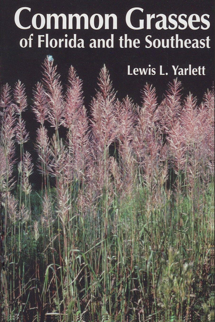 Vorderes Coverbild Common Grasses of Florida & The Southeast