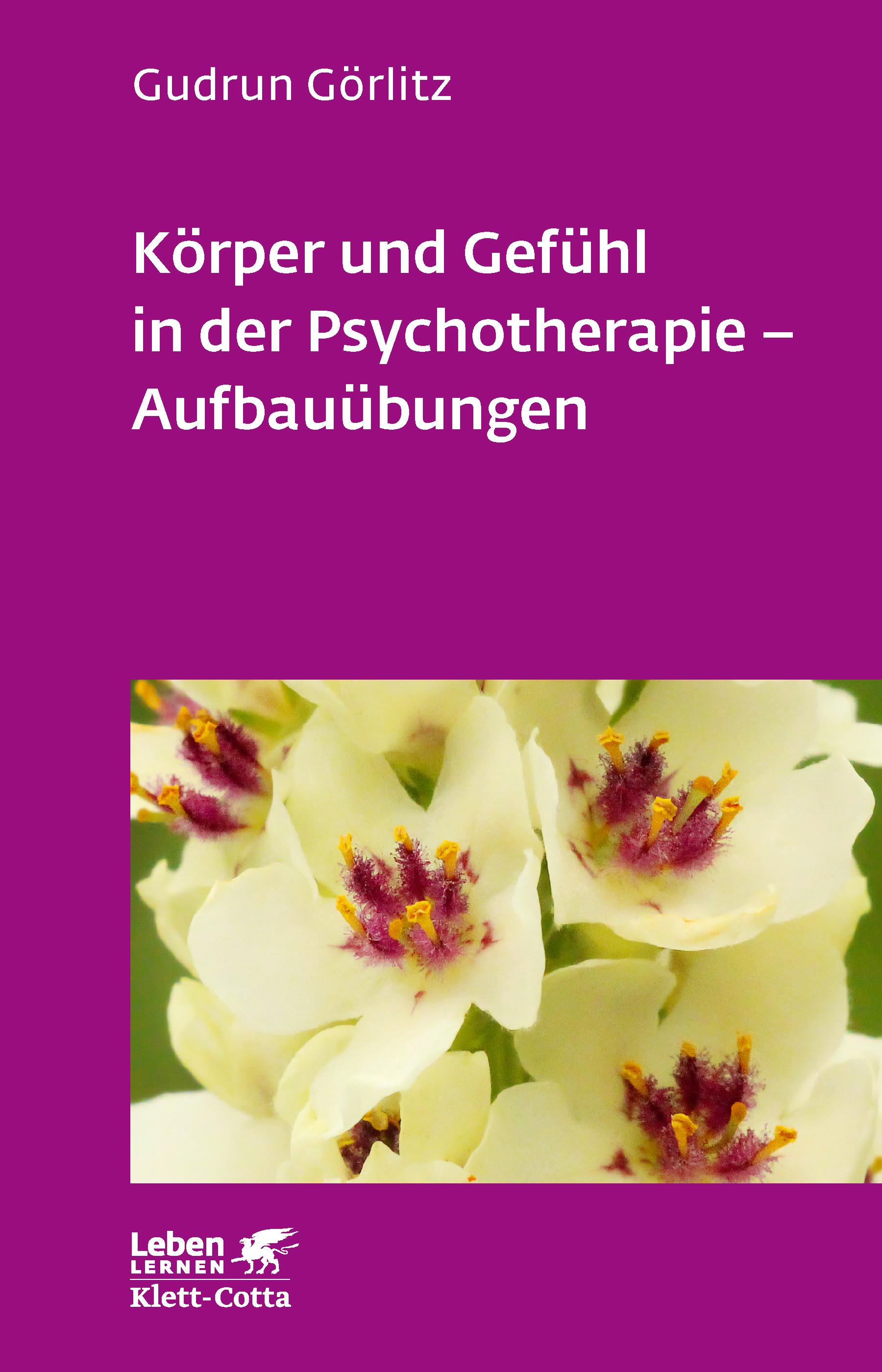 Vorderes Coverbild Körper und Gefühl in der Psychotherapie. Aufbauübungen