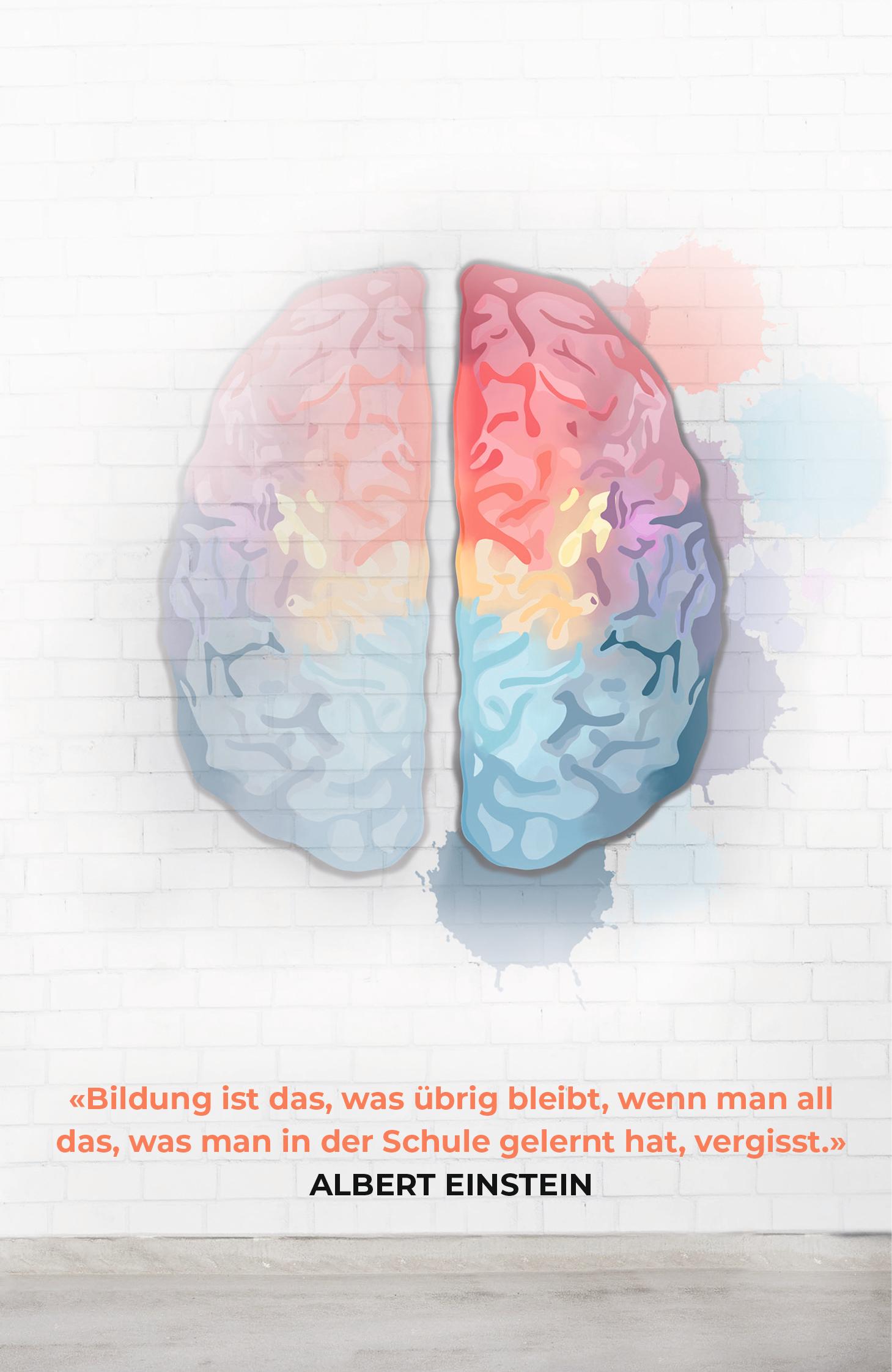 Beispielinhalt (Bild) Hätte ich das mal früher gewusst!