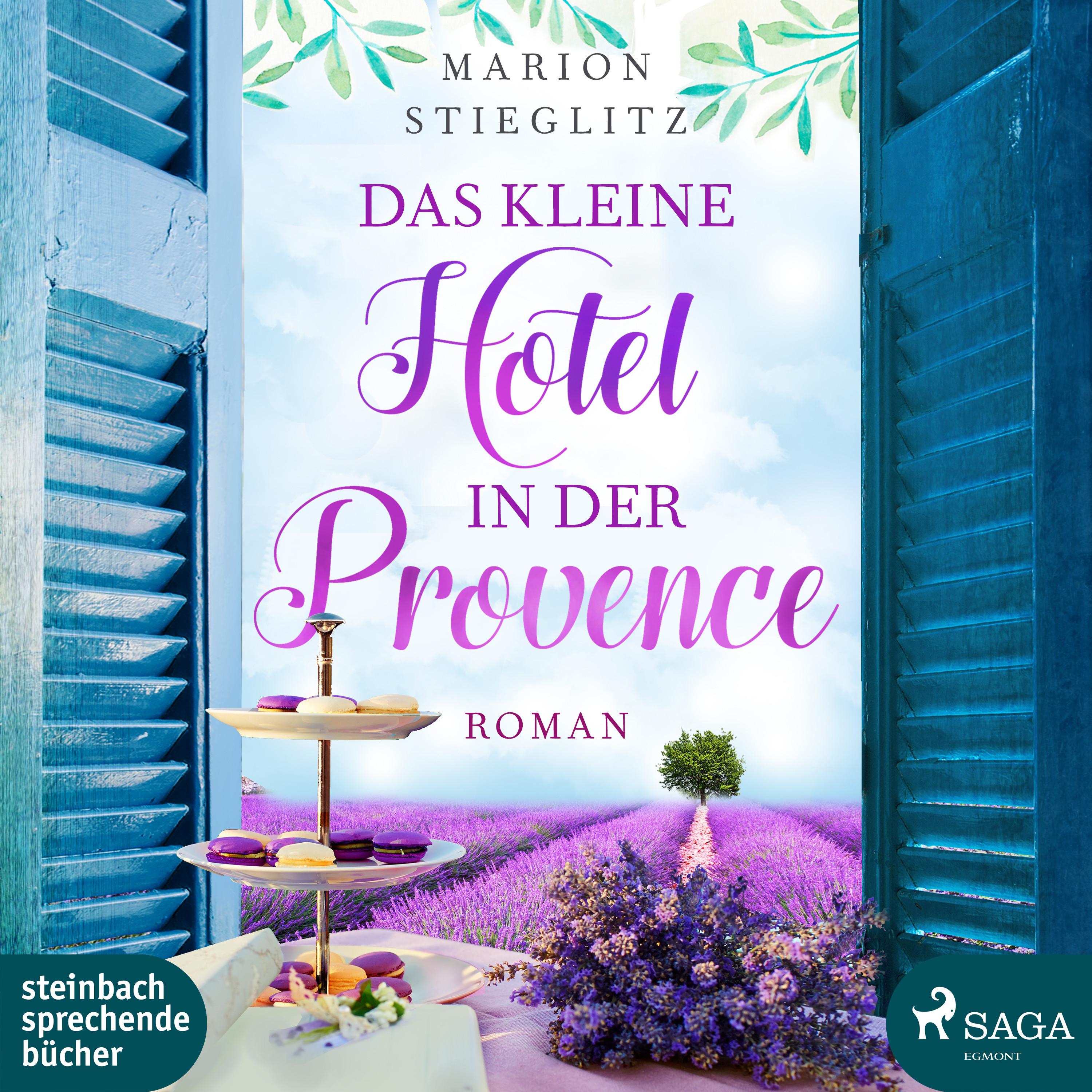 Vorderes Coverbild Das kleine Hotel in der Provence