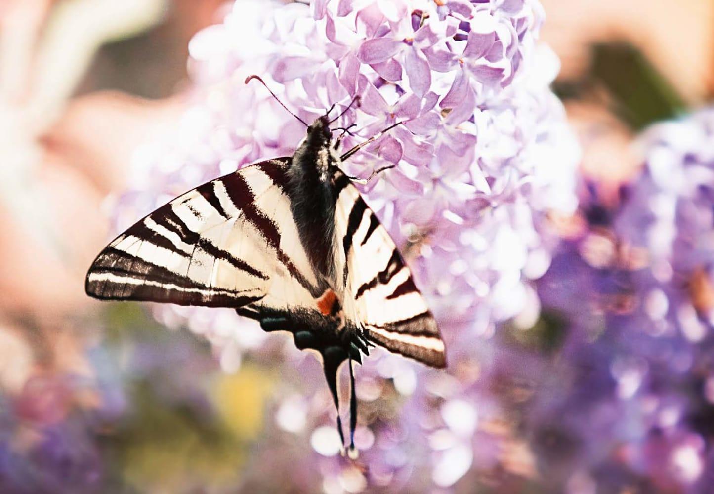 Beispielinhalt (Bild) Wohlfühlkarten für Erzieherinnen