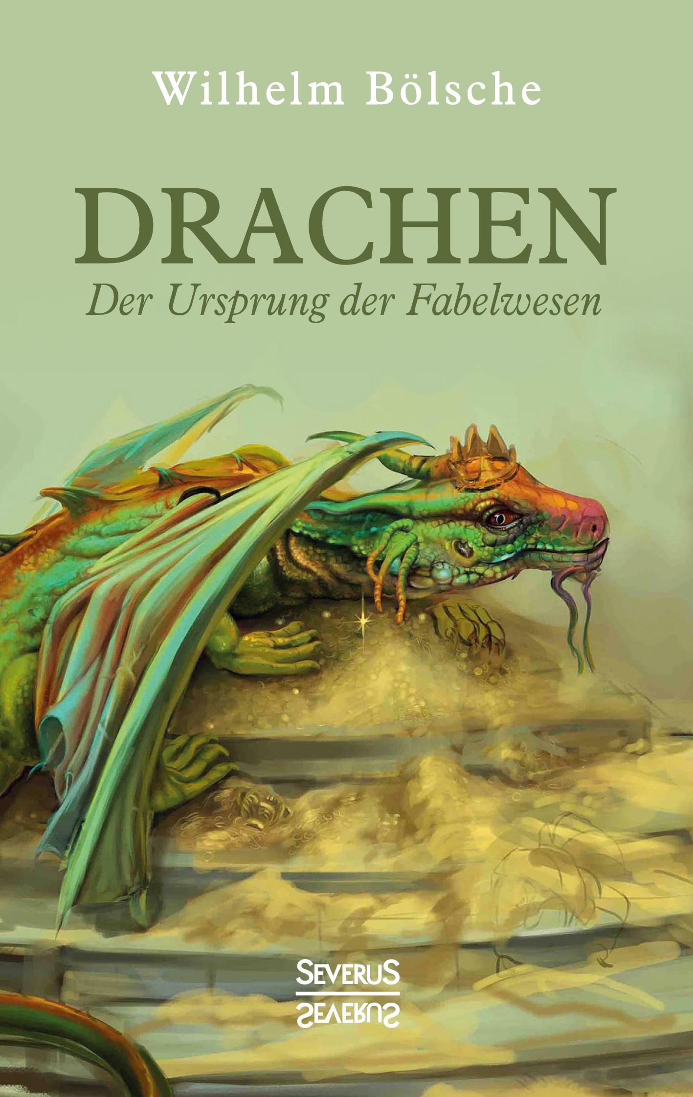 Vorderes Coverbild Drachen - Der Ursprung der Fabelwesen