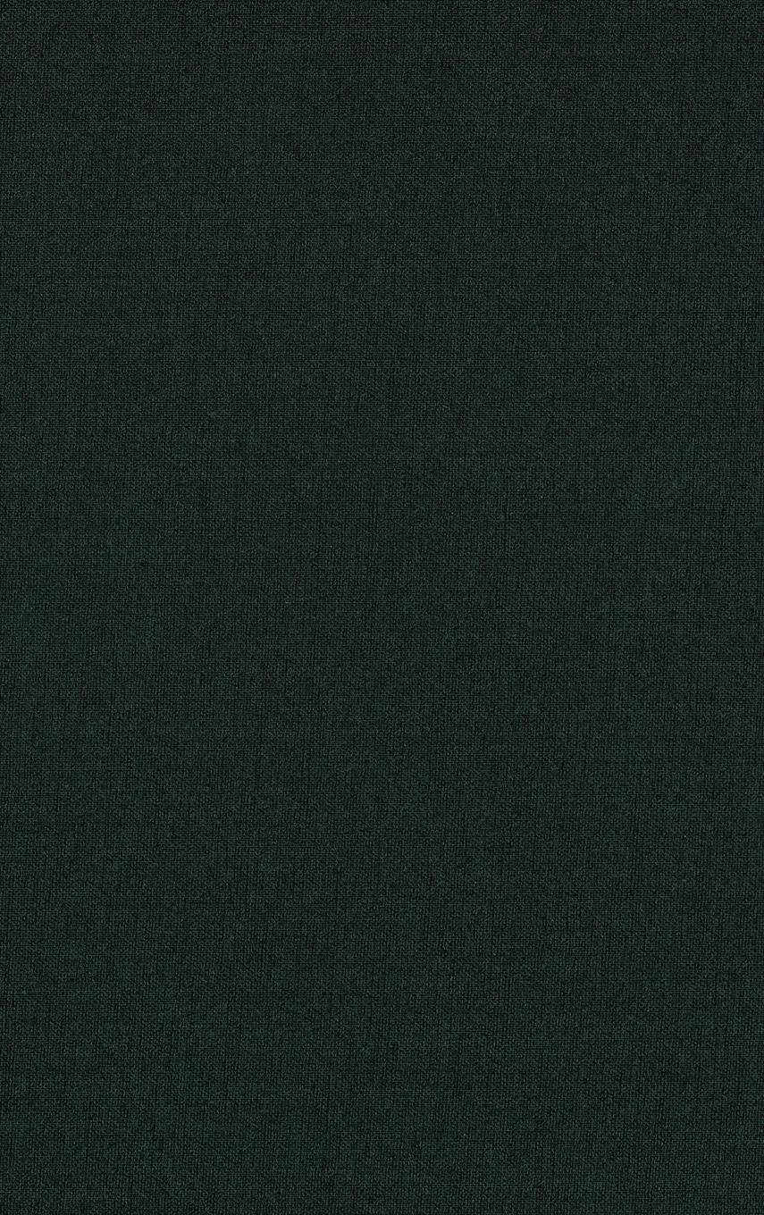 Vorderes Coverbild Politics Online