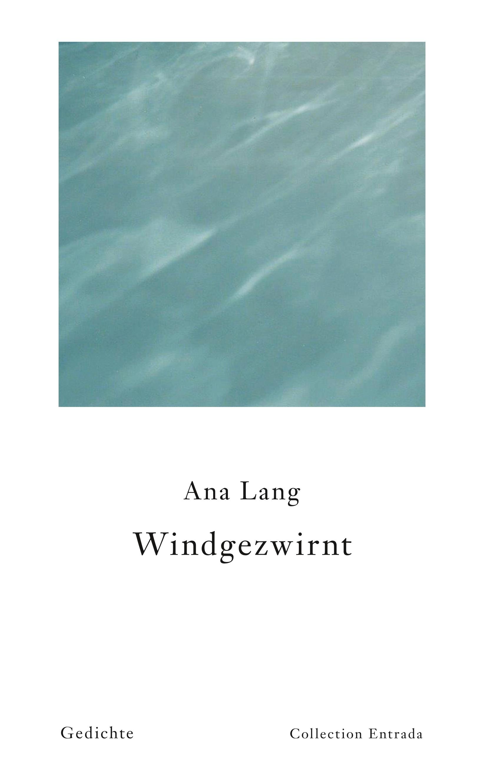 Vorderes Coverbild Windgezwirnt