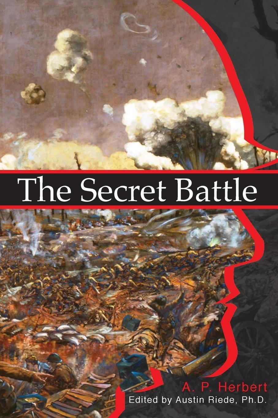 Vorderes Coverbild The Secret Battle