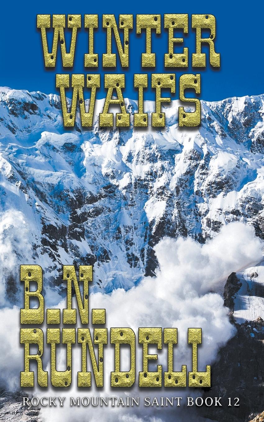 Vorderes Coverbild Winter Waifs