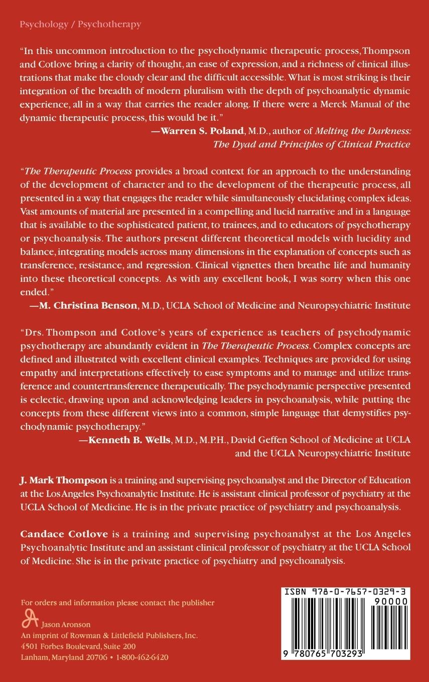 Rückseitencover Therapeutic Process