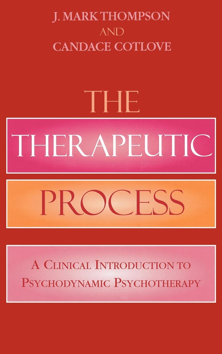 Vorderes Coverbild Therapeutic Process
