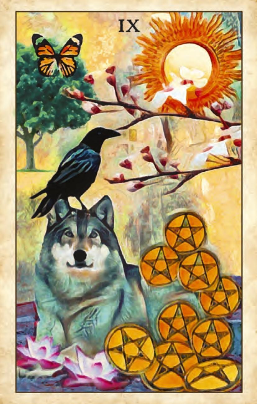 Beispielinhalt (Bild) Raben Tarot