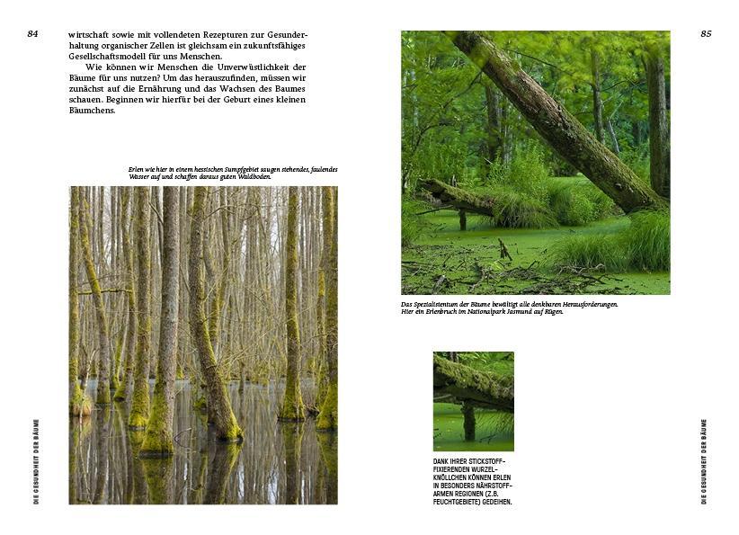 Beispielinhalt (Bild) Strategien der Natur