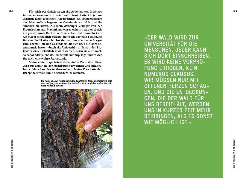 Beispielinhalt (Bild) Strategien der Natur