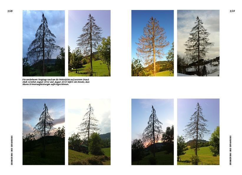 Beispielinhalt (Bild) Strategien der Natur