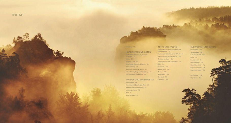 Beispielinhalt (Bild) Deutschland deine Wälder