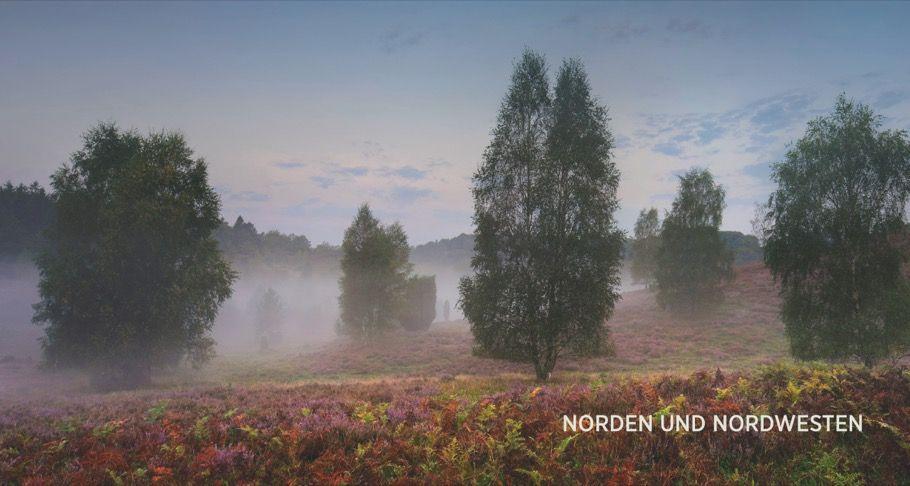 Beispielinhalt (Bild) Deutschland deine Wälder