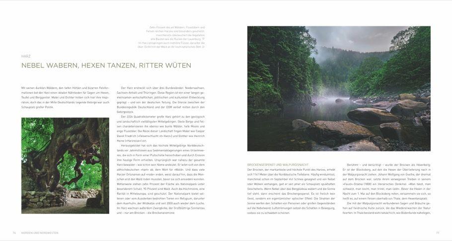 Beispielinhalt (Bild) Deutschland deine Wälder