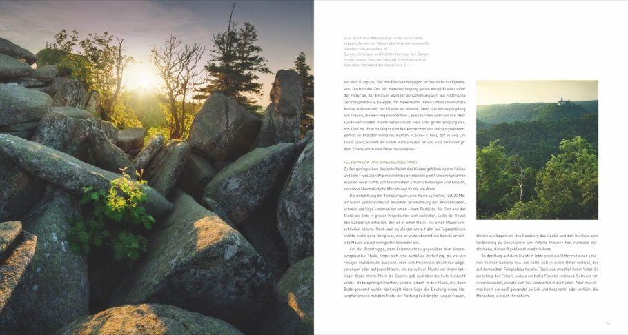 Beispielinhalt (Bild) Deutschland deine Wälder