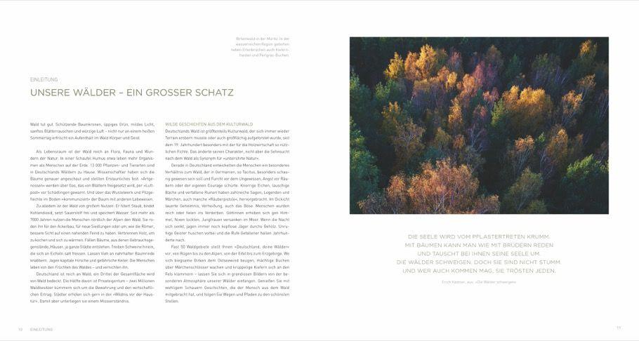Beispielinhalt (Bild) Deutschland deine Wälder