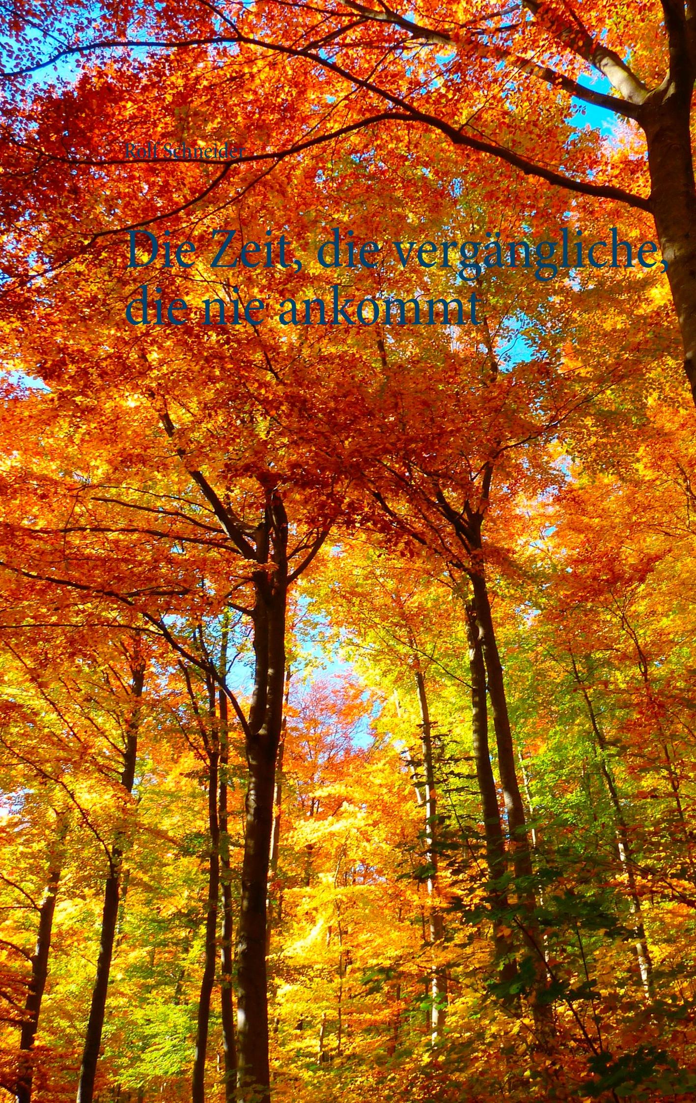 Vorderes Coverbild Die Zeit, die vergängliche, die nie ankommt