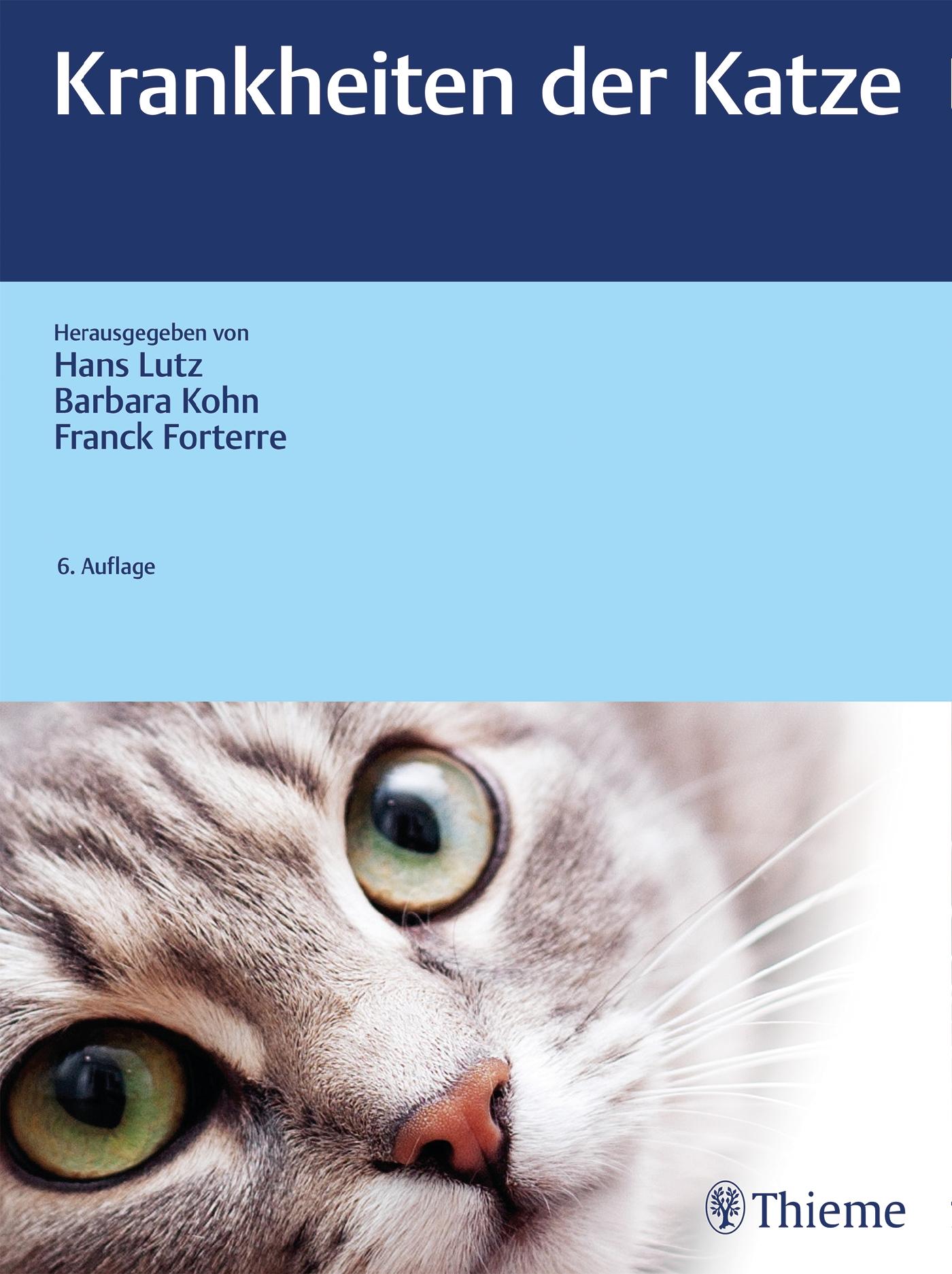 Vorderes Coverbild Krankheiten der Katze