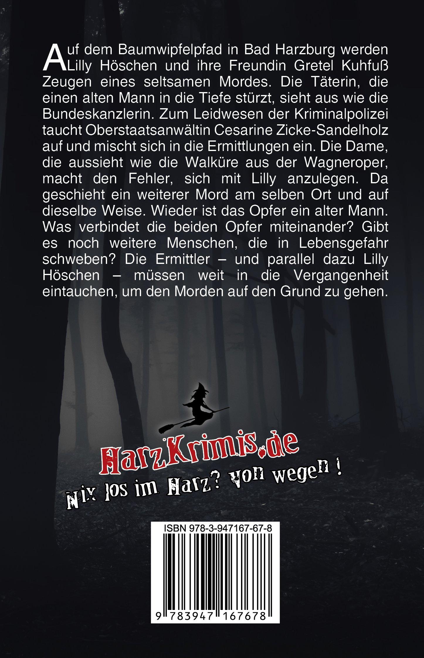 Rückseitencover Im Kalten Tal