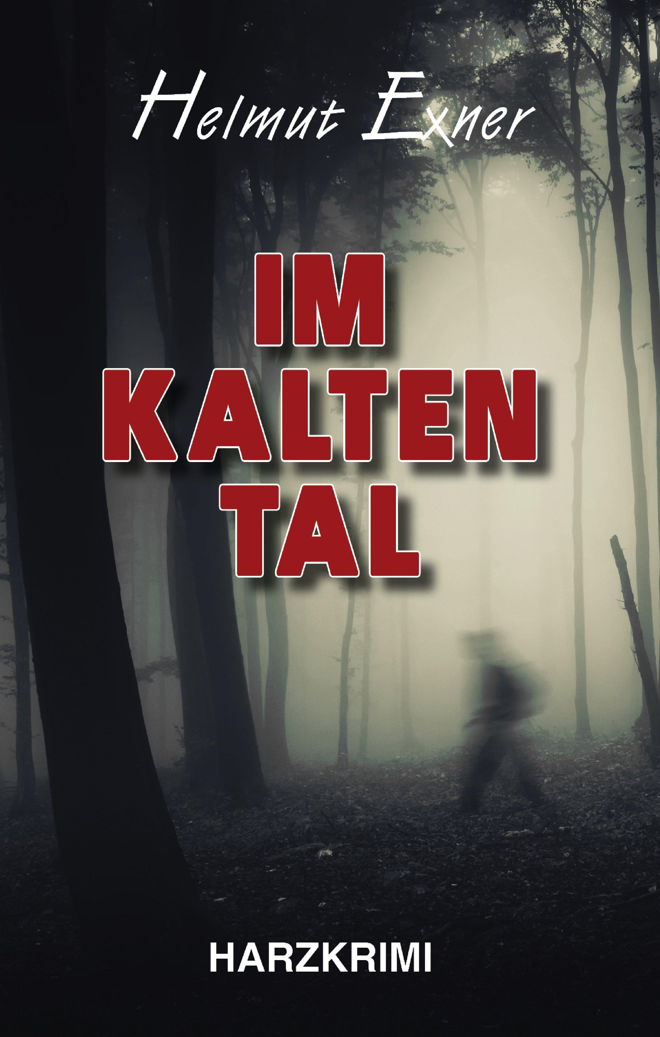 Vorderes Coverbild Im Kalten Tal