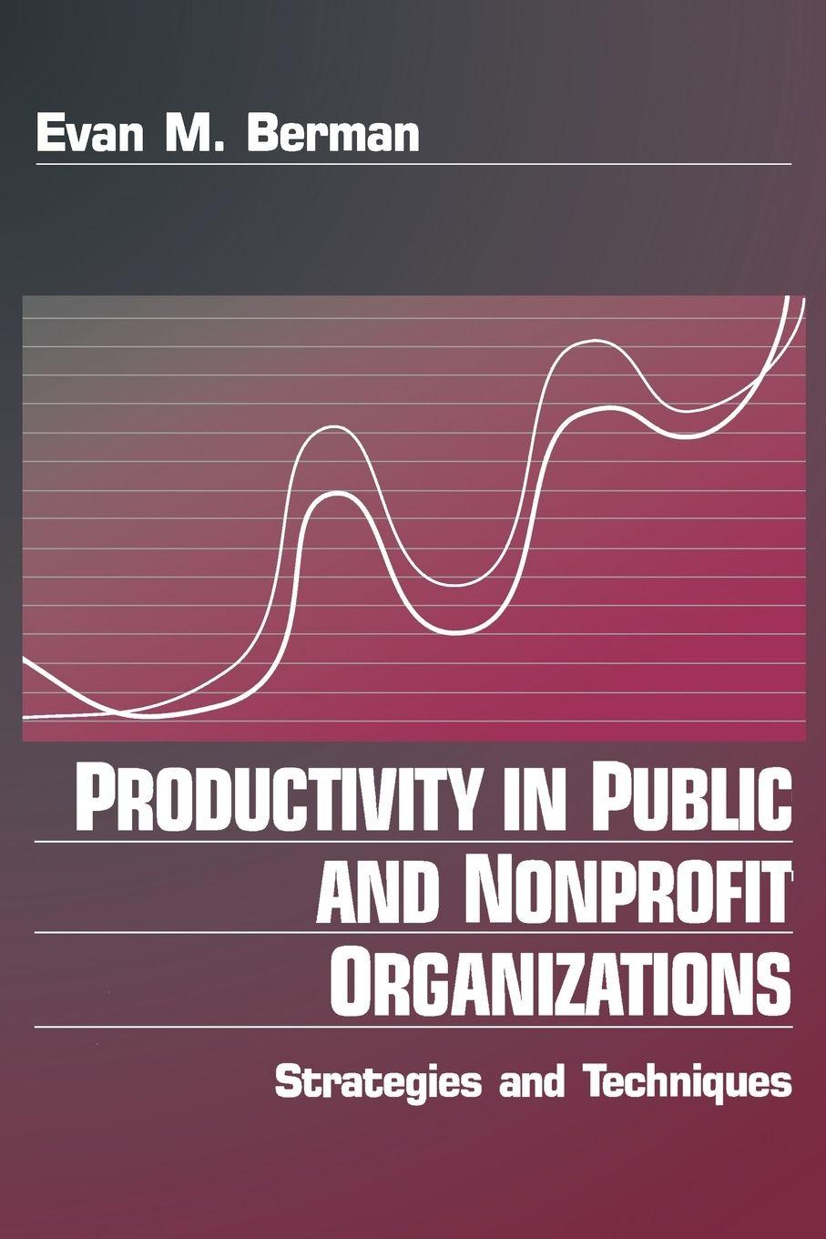 Vorderes Coverbild Productivity in Public and Non Profit Organizations