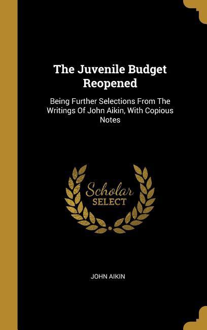 Vorderes Coverbild The Juvenile Budget Reopened