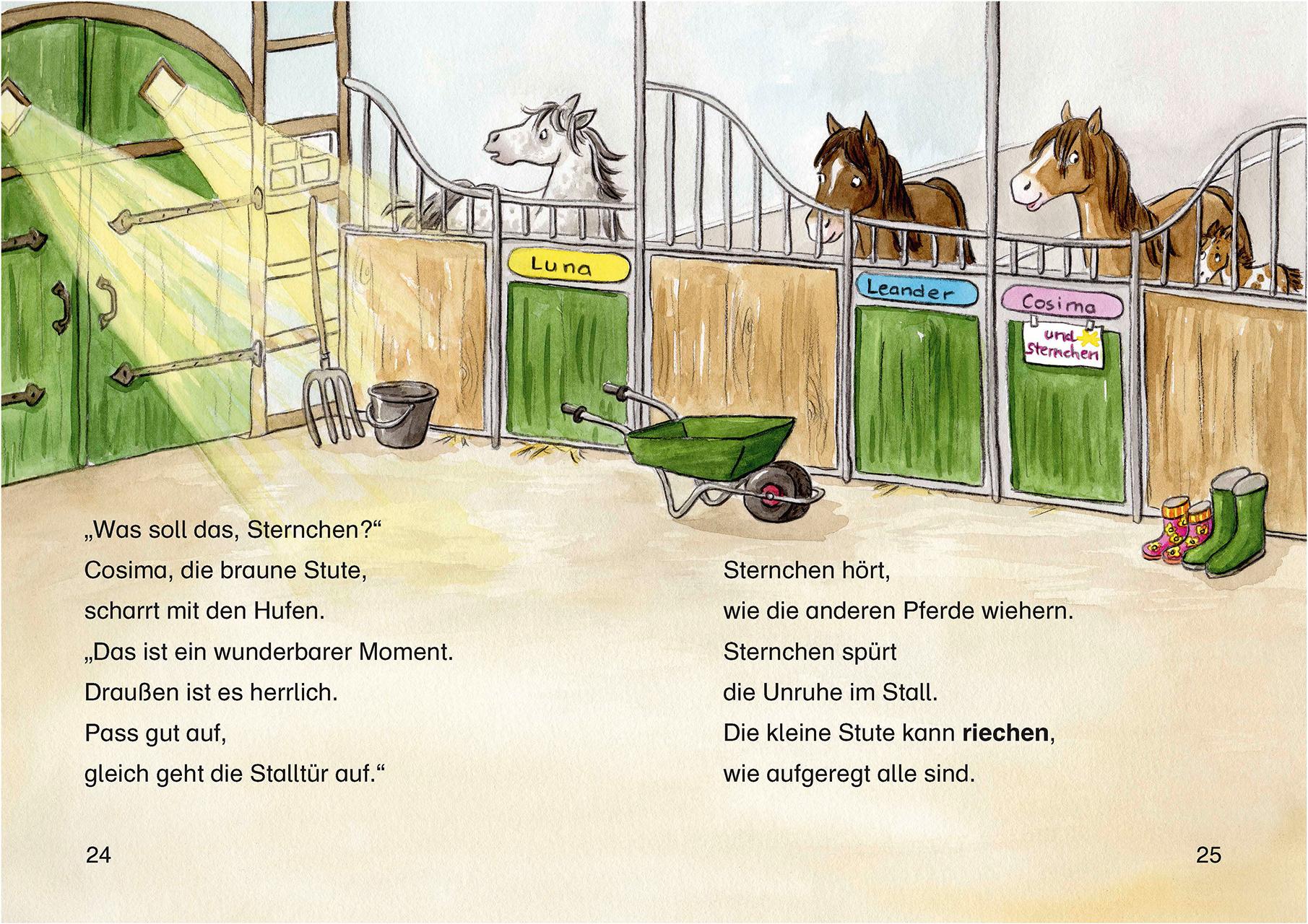 Beispielinhalt (Bild) Leselöwen 2. Klasse - Fohlengeschichten