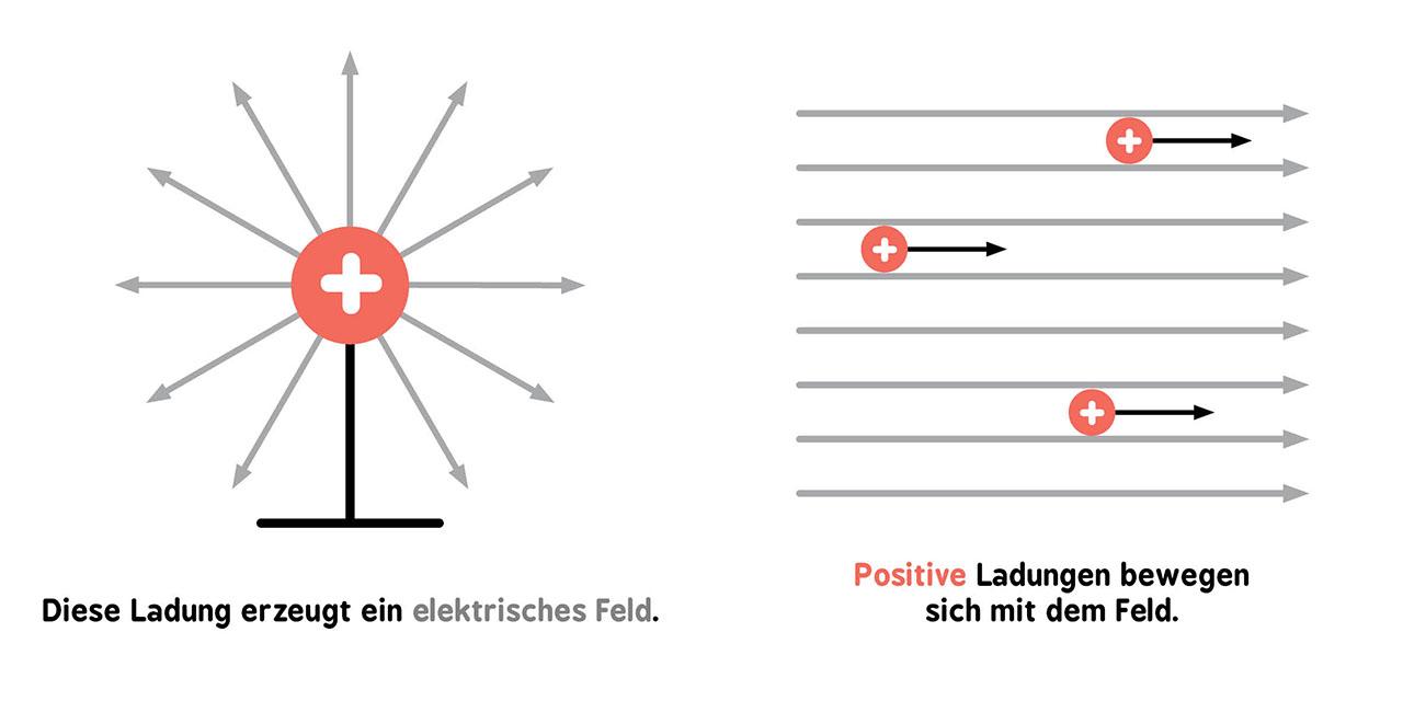 Beispielinhalt (Bild) Baby-Universität - Elektromagnetismus für Babys