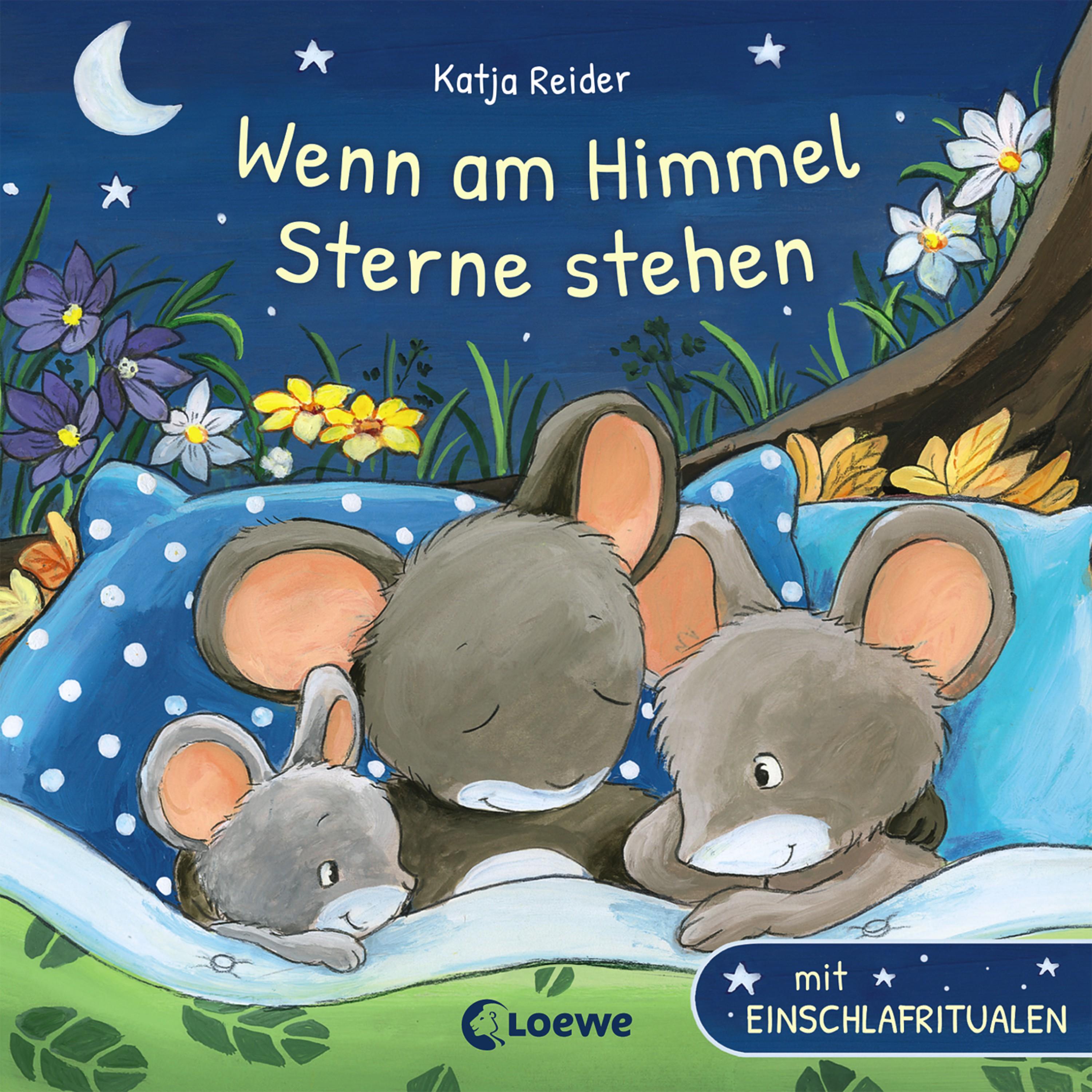 Vorderes Coverbild Wenn am Himmel Sterne stehen