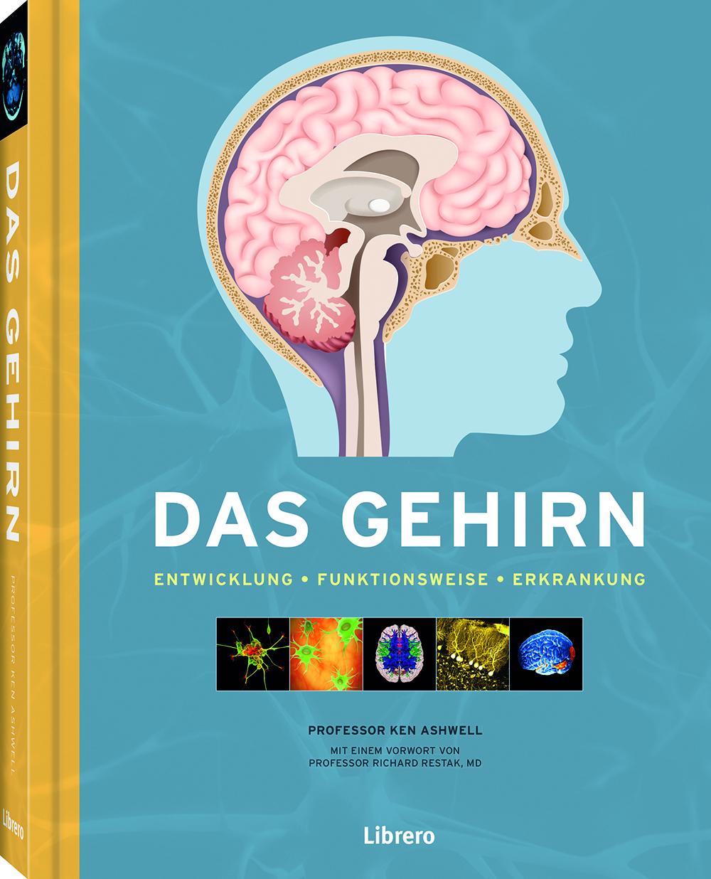 Vorderes Coverbild Das Gehirn