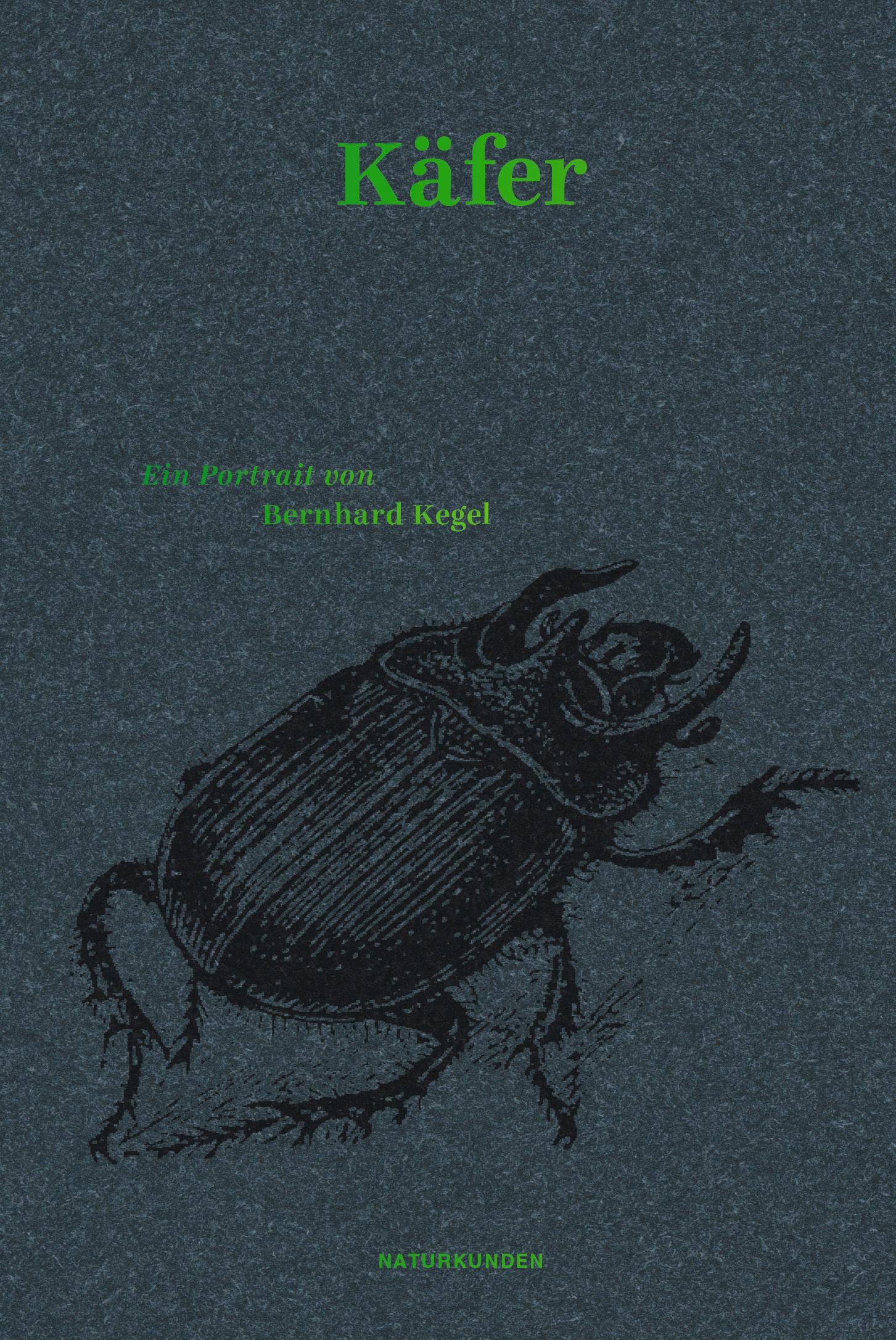 Vorderes Coverbild Käfer