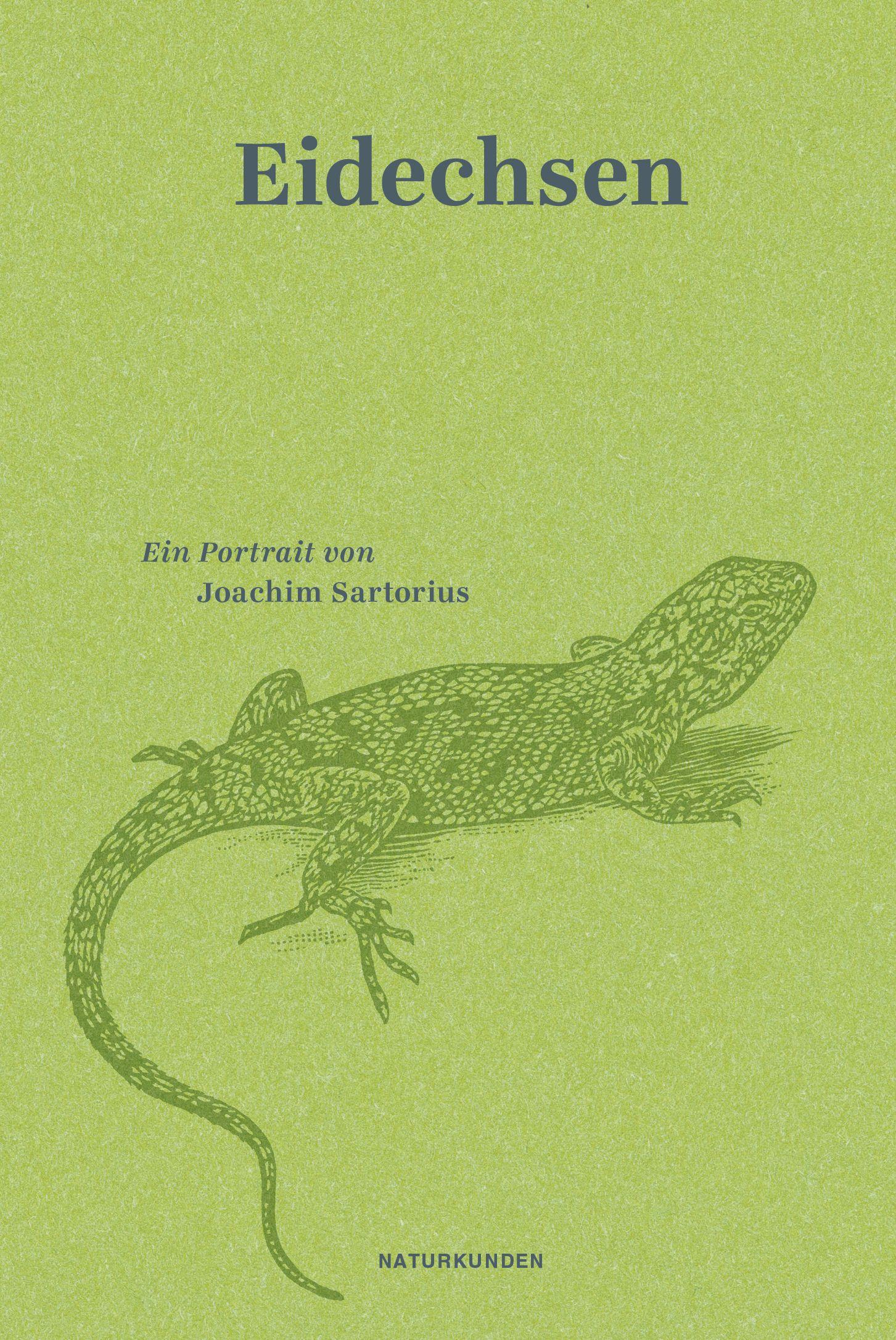 Vorderes Coverbild Eidechsen