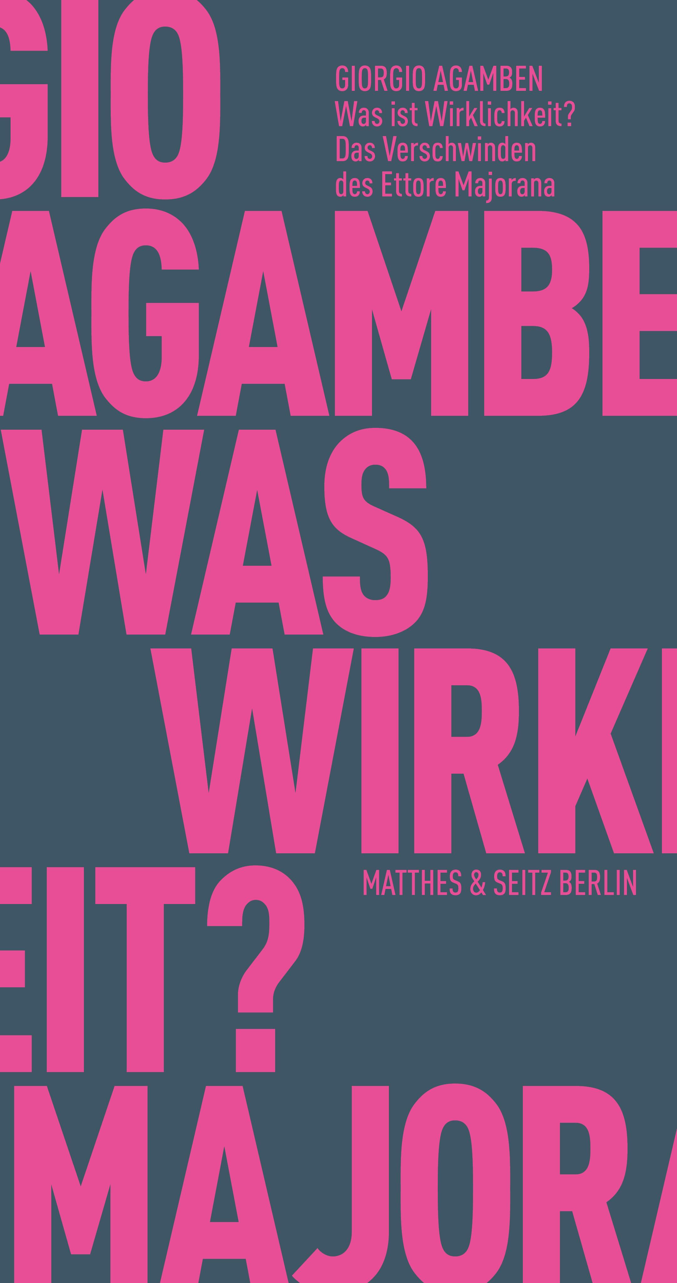 Vorderes Coverbild Was ist Wirklichkeit? Das Verschwinden des Ettore Majorana
