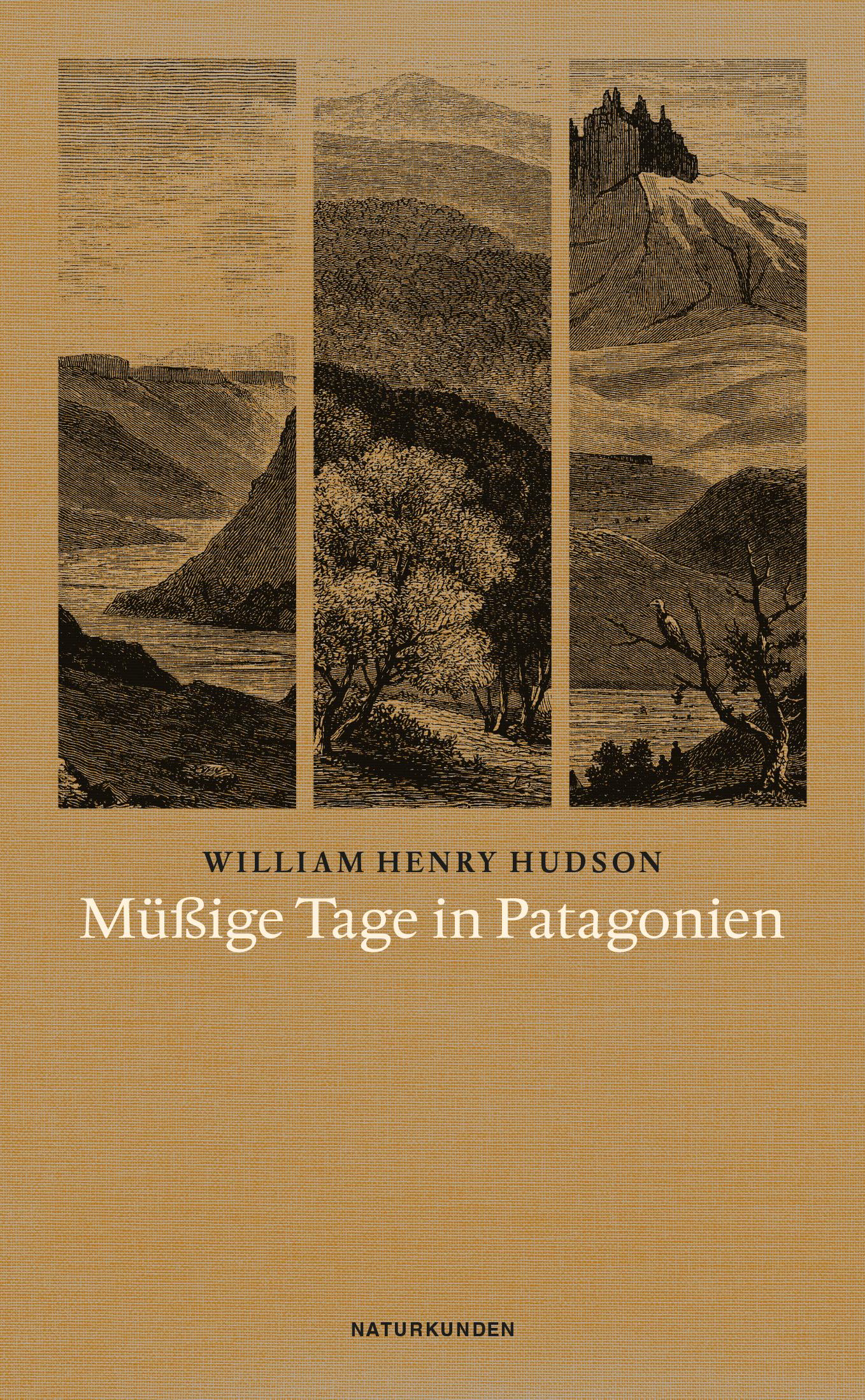 Vorderes Coverbild Müßige Tage in Patagonien