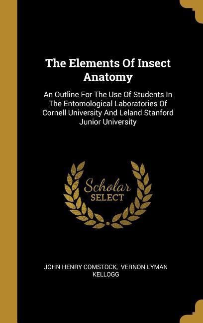 Vorderes Coverbild The Elements Of Insect Anatomy: An Outline For The Use Of Students In The Entomological Laboratories Of Cornell University And Leland Stanford Junior