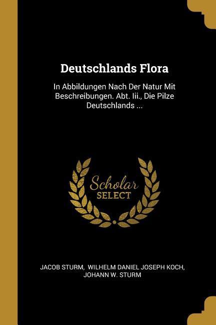 Vorderes Coverbild Deutschlands Flora: In Abbildungen Nach Der Natur Mit Beschreibungen. Abt. Iii., Die Pilze Deutschlands ...