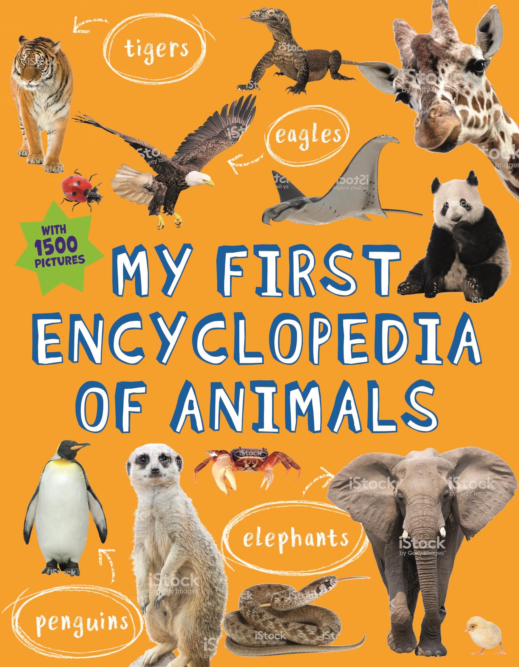 Autorenbild My First Encyclopedia of Animals