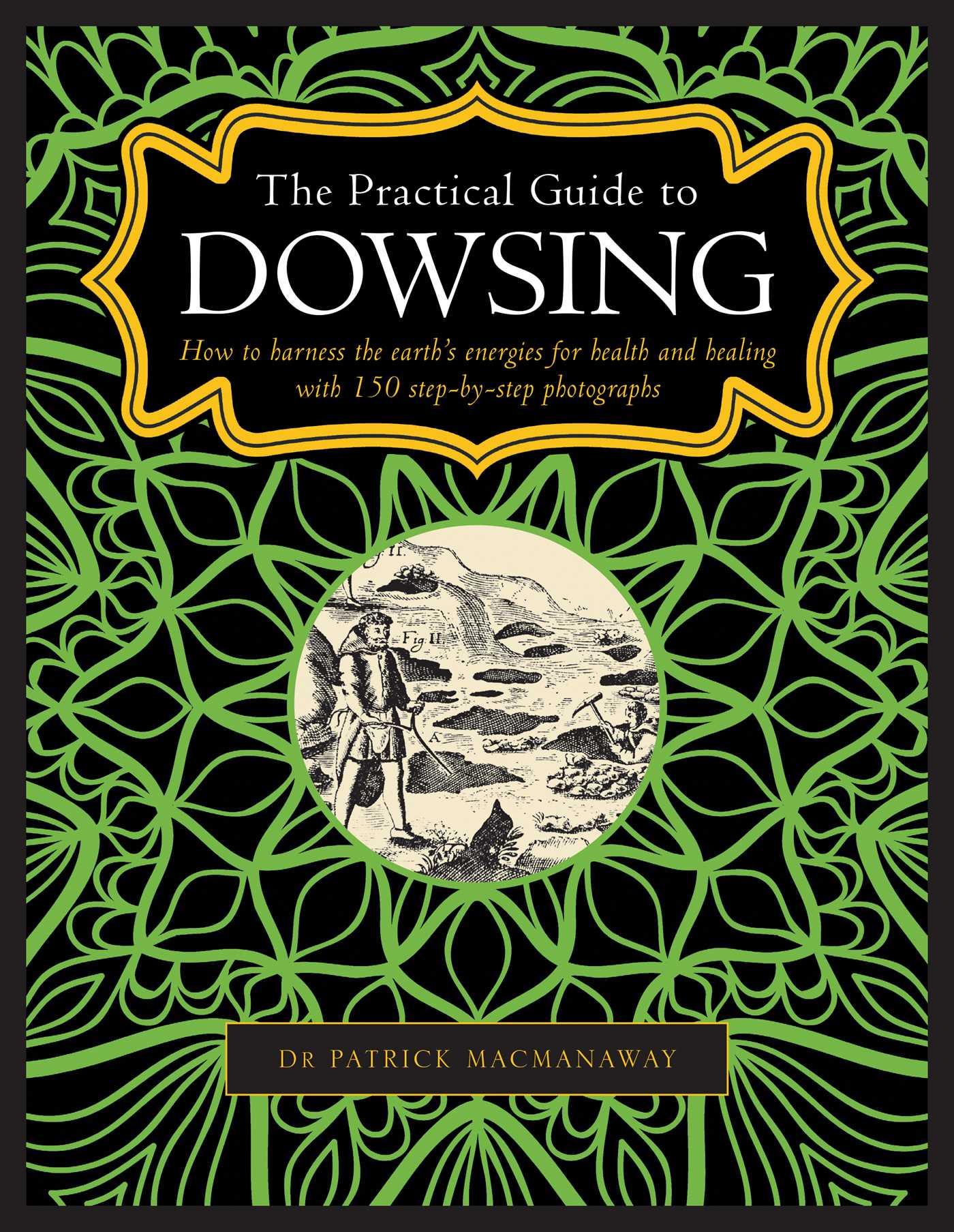 Vorderes Coverbild The Practical Guide to Dowsing