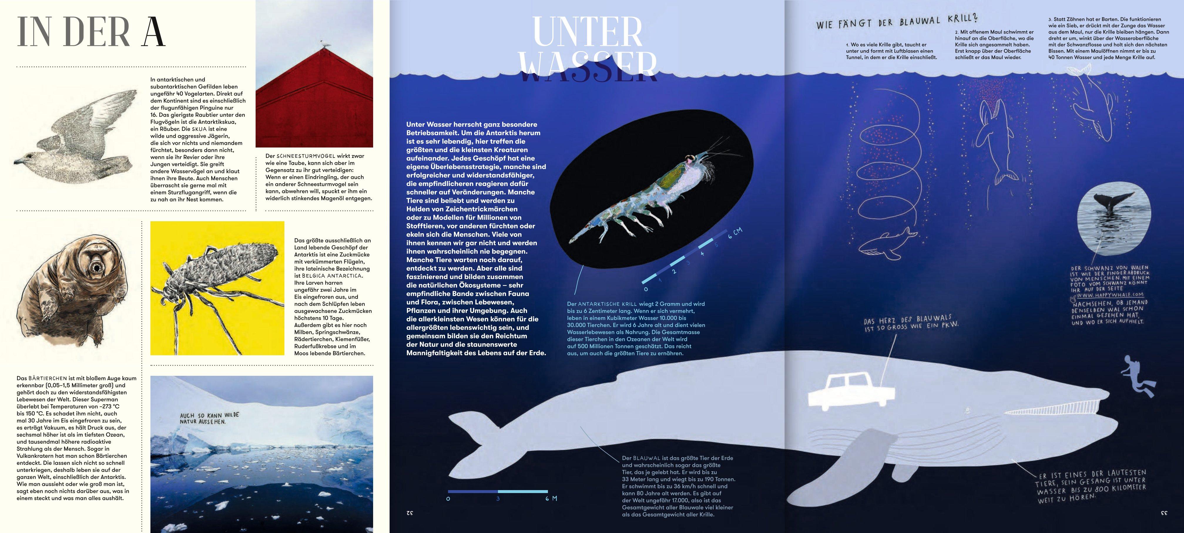 Beispielinhalt (Bild) A wie Antarktis