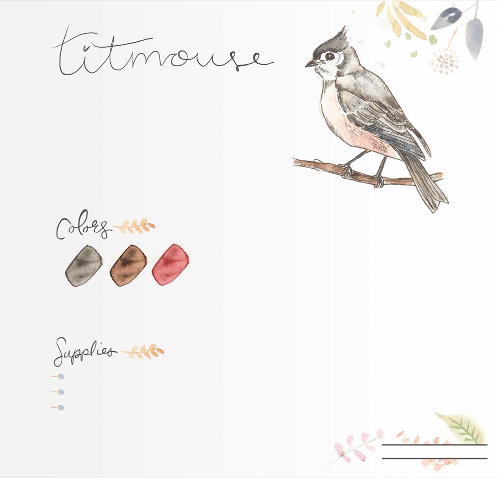 Beispielinhalt (Bild) Das große Aquarell-Praxisbuch. Waldtiere