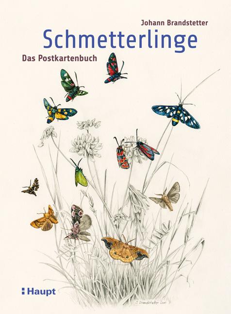 Vorderes Coverbild Schmetterlinge - Das Postkartenbuch