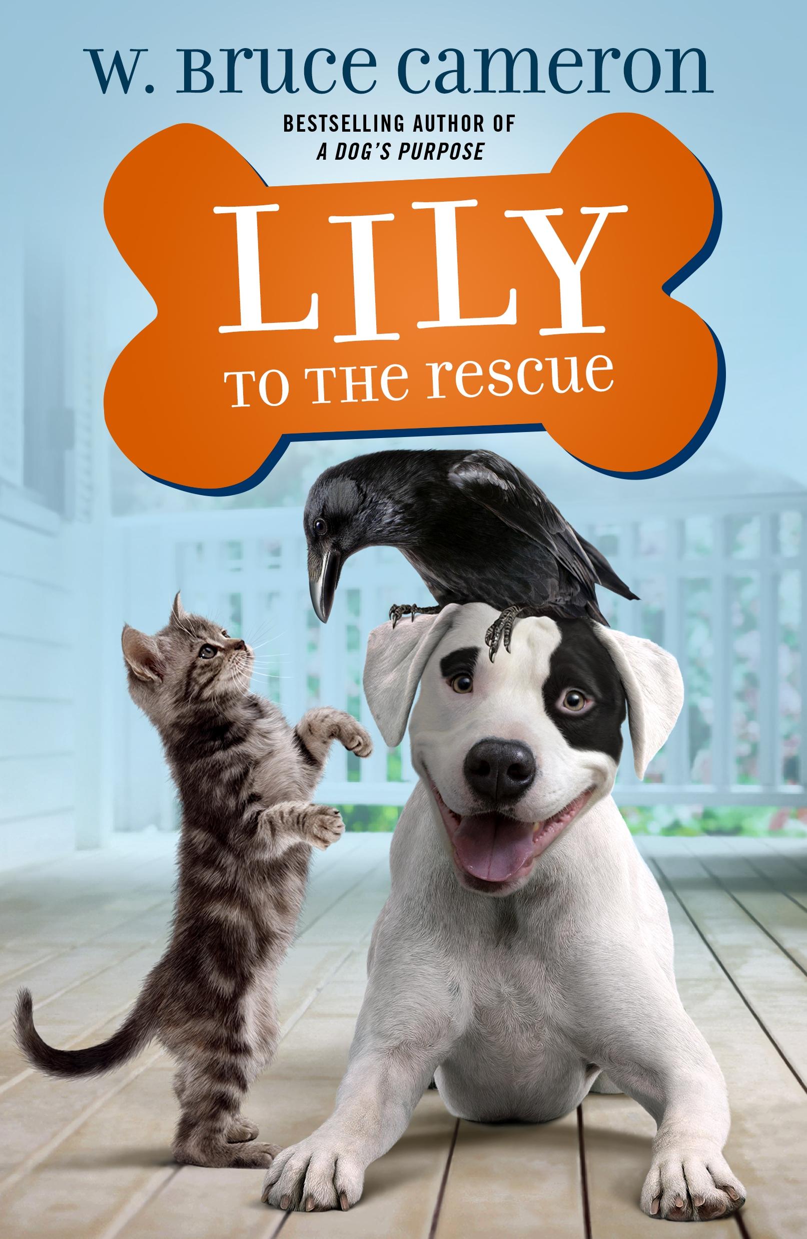 Vorderes Coverbild Lily to the Rescue