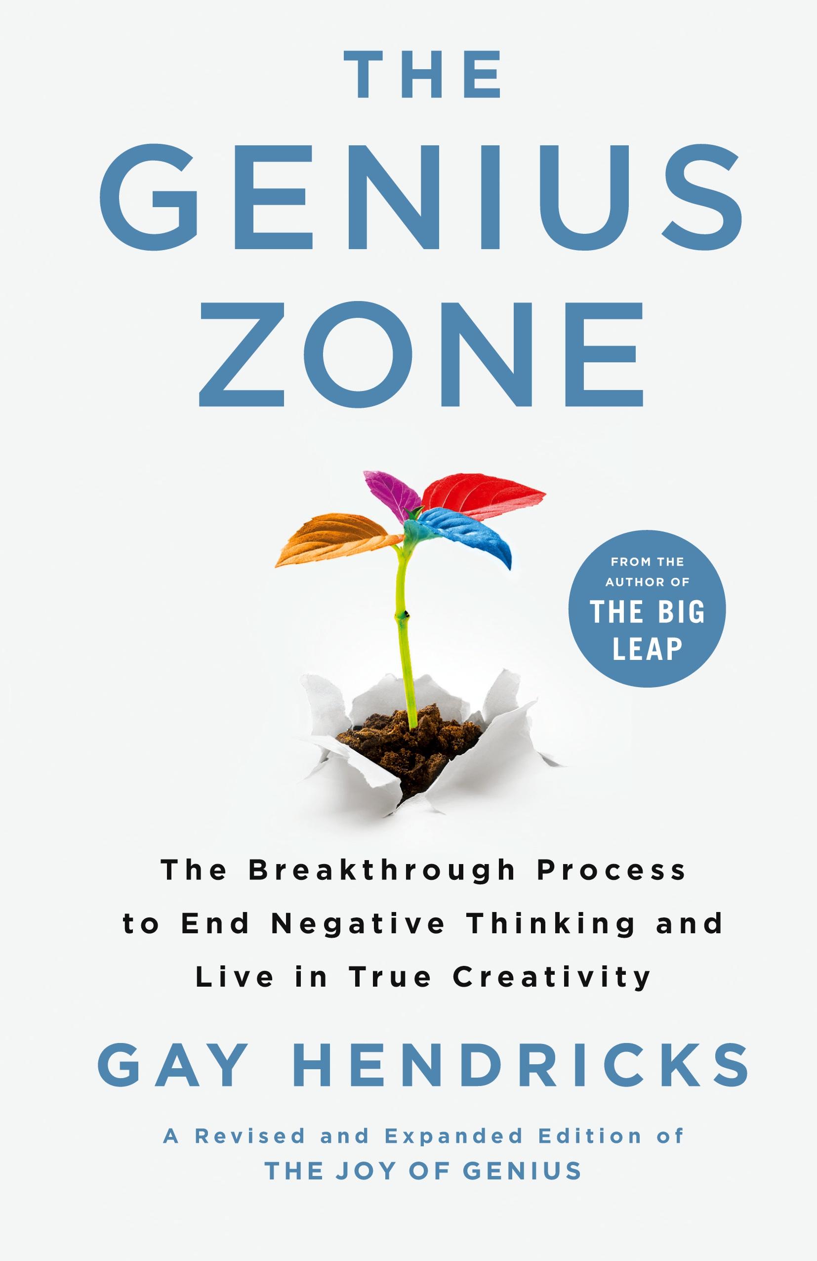 Vorderes Coverbild Genius Zone