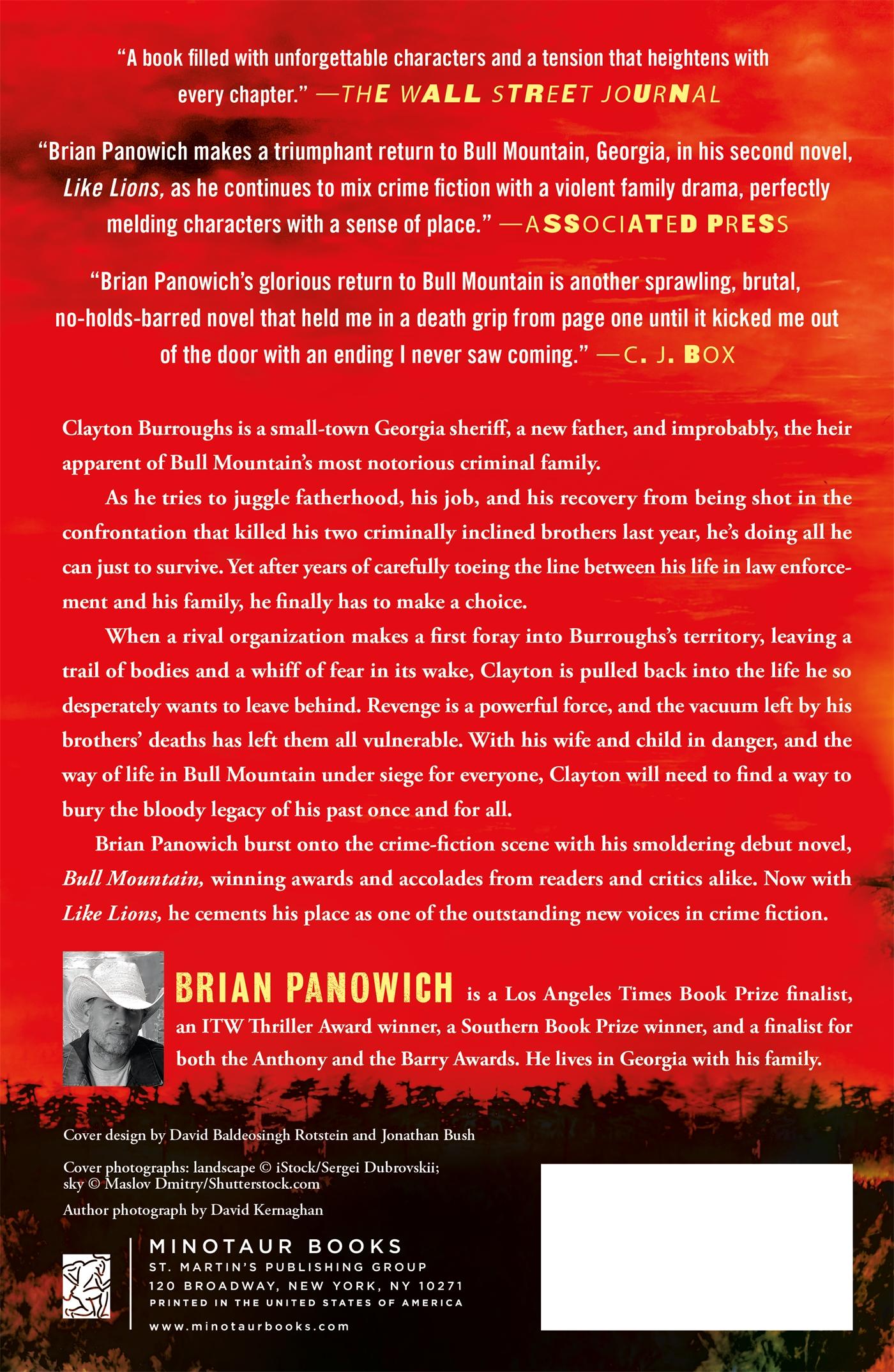 Rückseitencover Like Lions