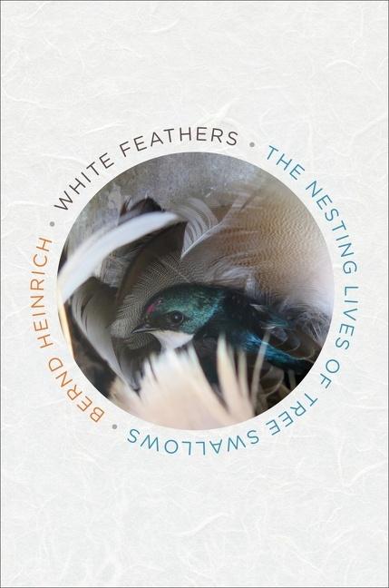 Vorderes Coverbild White Feathers