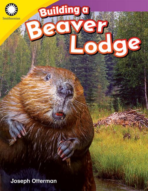 Vorderes Coverbild Building a Beaver Lodge