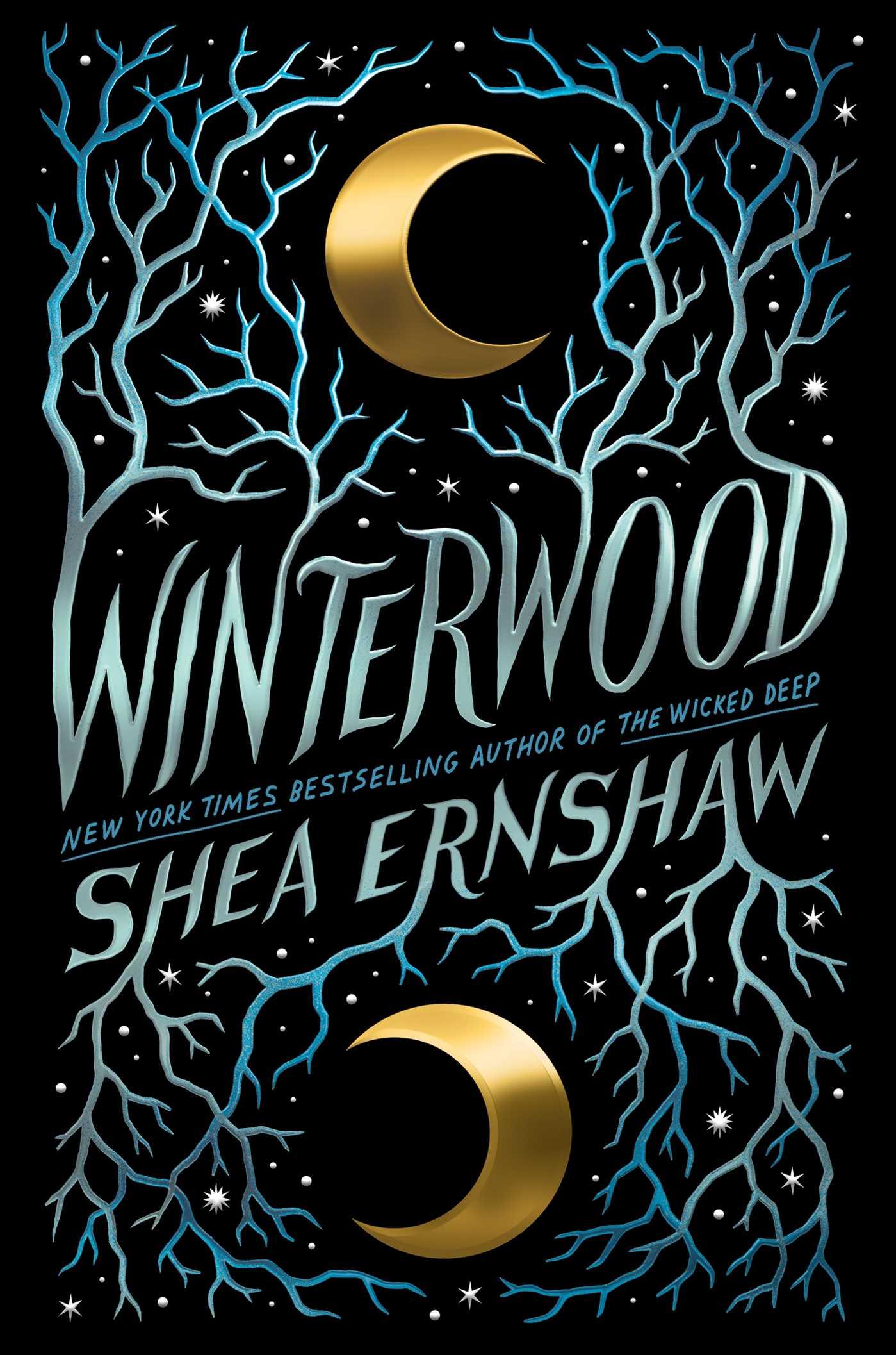 Vorderes Coverbild Winterwood