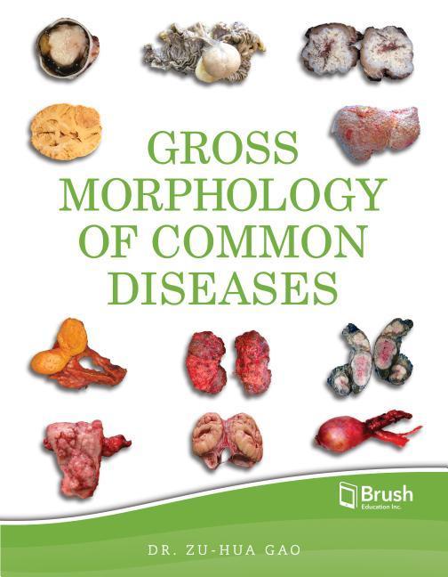 Vorderes Coverbild Gross Morphology of Common Diseases