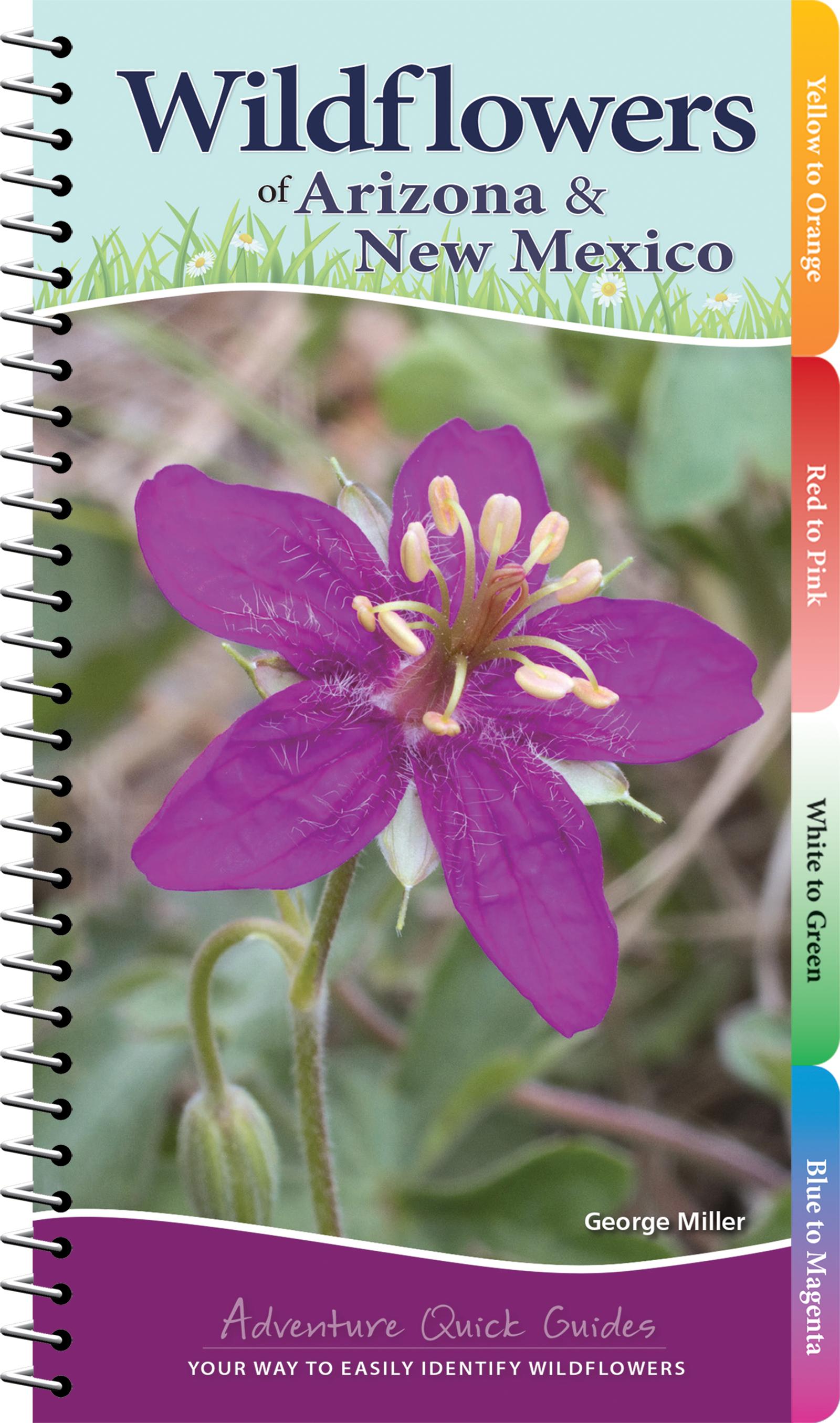 Vorderes Coverbild Wildflowers of Arizona & New Mexico